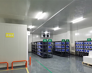 gsp醫(yī)藥冷庫2-8度冷鏈試劑庫房定制，面積要求建造多大面積
