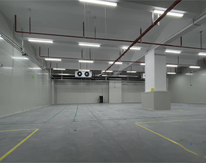建200噸氣調(diào)庫多少錢？存放葡萄、獼猴桃